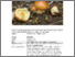 [thumbnail of Pholiota_mixta.pdf]