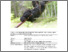 [thumbnail of apiosporina_morbosa.pdf]