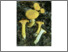 [thumbnail of Cantharellus_cibarius.pdf]